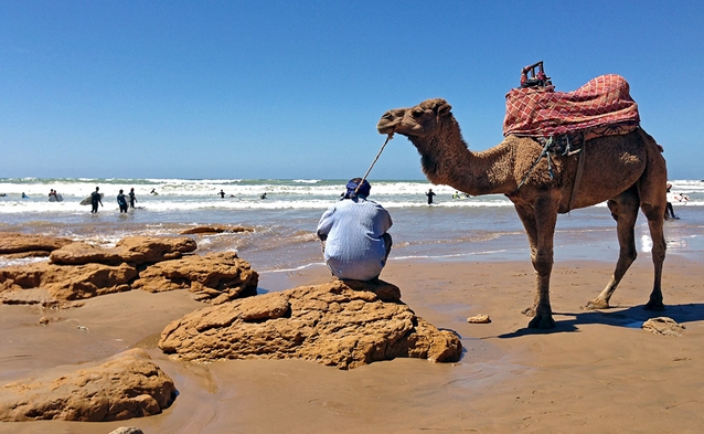 Tunísia, Marrocos e Egito lideram turismo internacional em África mas abaixo de 2019
