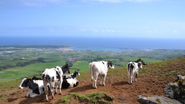 Açores: Dormidas aumentaram 19,3% em maio segundo o SRE