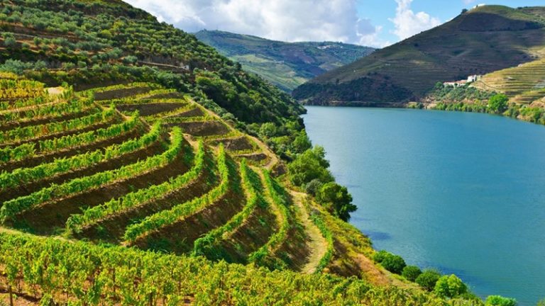 Celebração do Douro “Cidade Europeia do Vinho” arranca a 4 de fevereiro