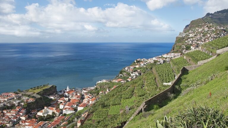 Novidade: MSC vai ter 19 cruzeiros com partida e chegada ao Funchal