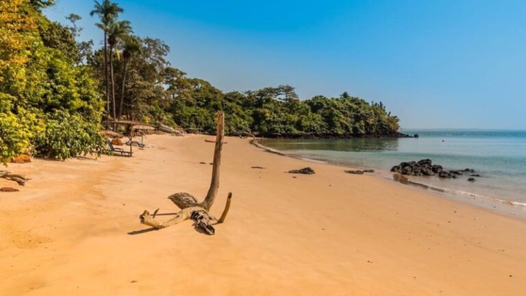 Fernando Bandrés dá a conhecer aos agentes de viagens a oferta turística da Guiné-Bissau um destino da Sonhando